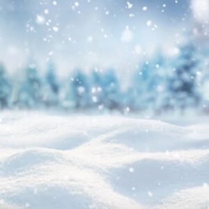 WINTER SPACIAL
