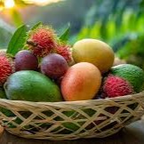 FRUITY