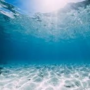 AQUATIC